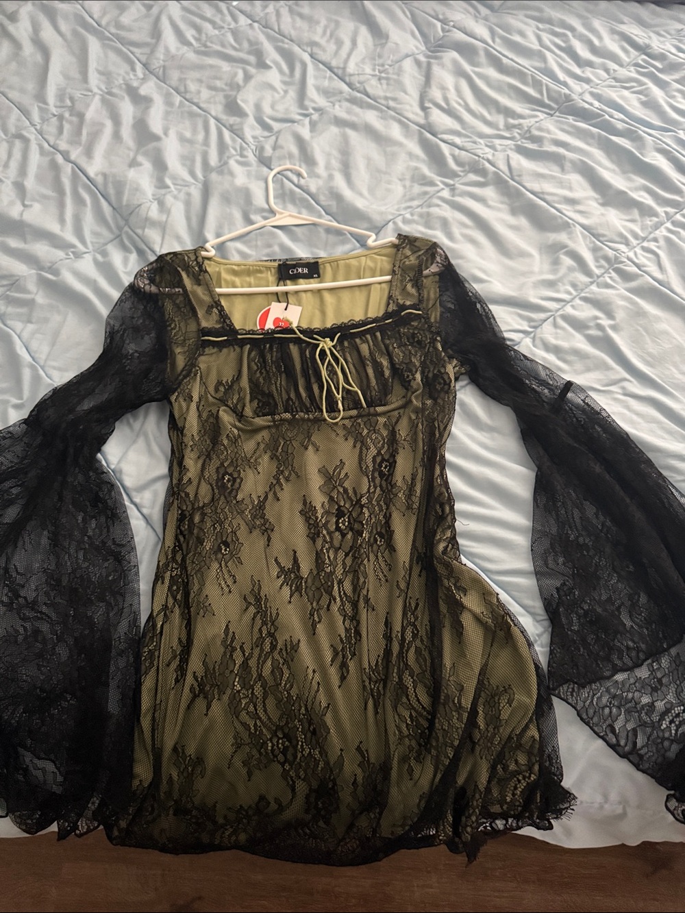 Cider Olive & Black Lace Square-Neck Long Sleeve Dress